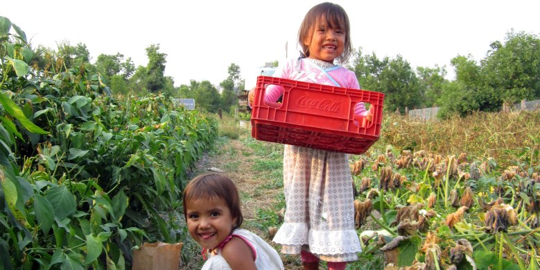 solar-warrior-children